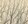 BIRCH TAUPE