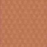 NEW SHADOW CUBE PENNY
